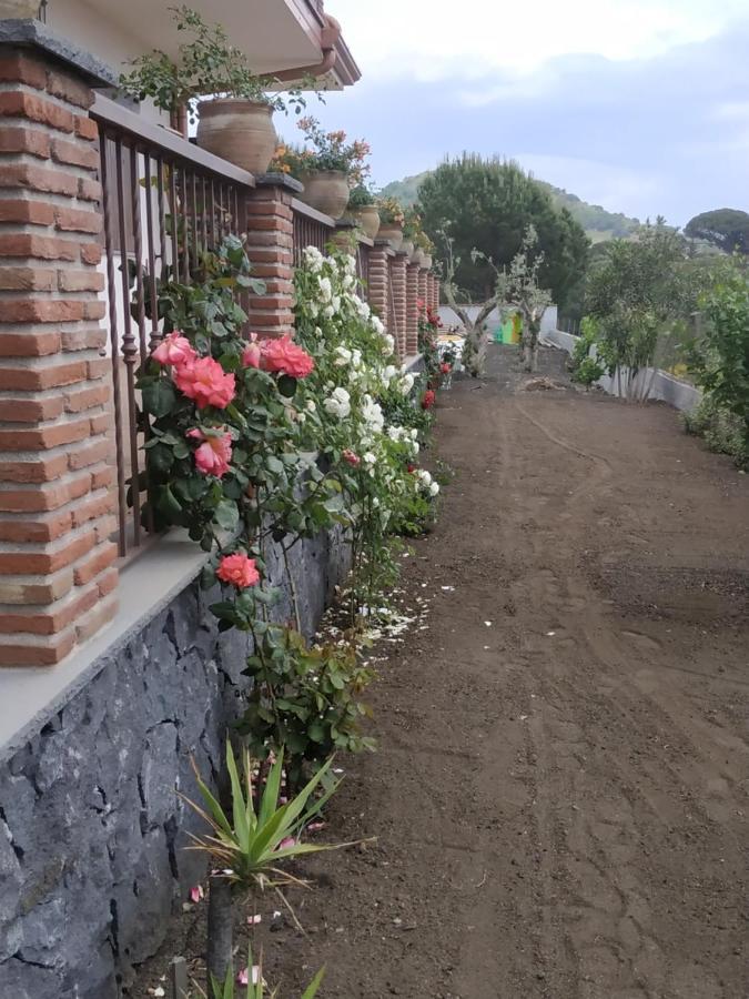 Etna Casa Del Sole Bed and Breakfast Nicolosi Εξωτερικό φωτογραφία
