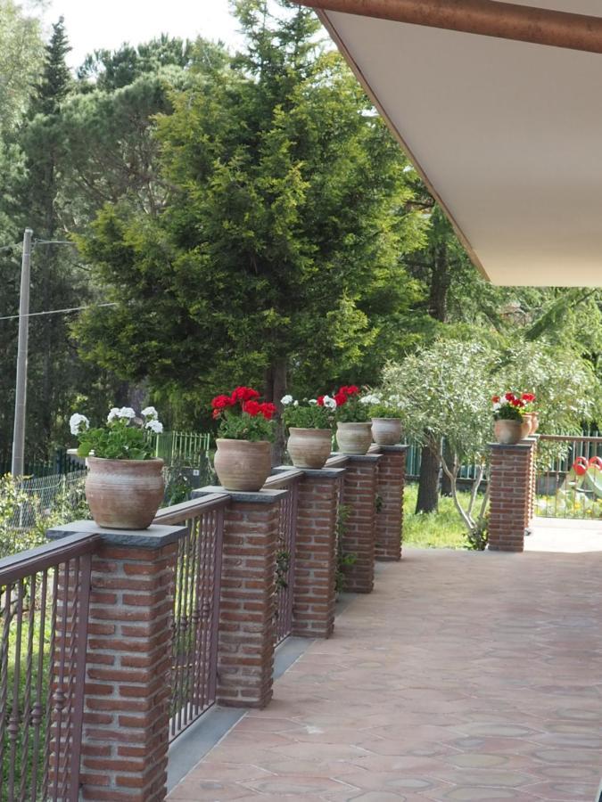 Etna Casa Del Sole Bed and Breakfast Nicolosi Εξωτερικό φωτογραφία